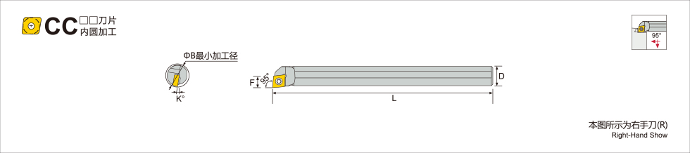 SCLC 95°.jpg